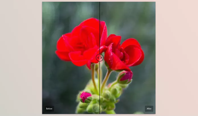 Lightroom Preset – The Base Pack for Adobe by Cobalt Image – Download