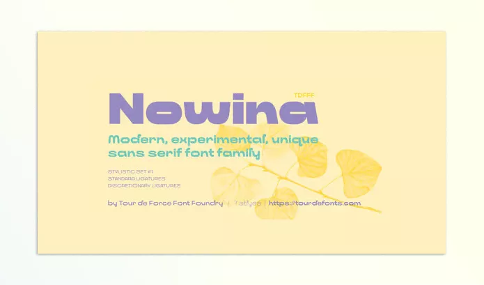 Font – Nowina Font Family by Tour De Force – Download