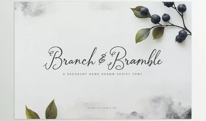 Font – Branch and Bramble Calligraphy Font by Callie Rian & Co. – Download
