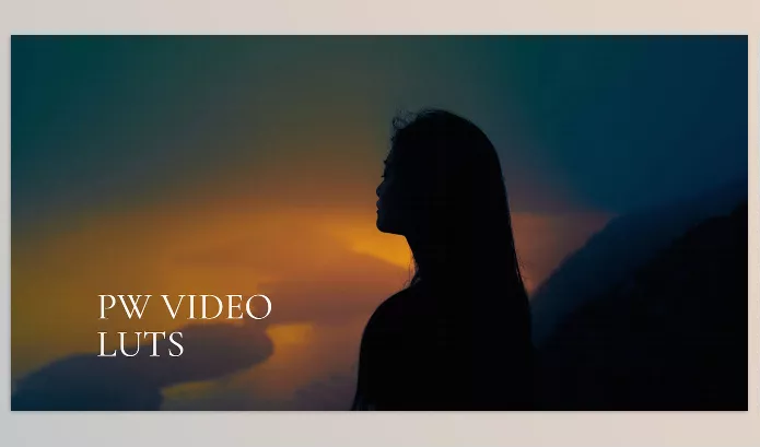 LUT Pack – PW VIDEO LUTS by Polina Washington – Download
