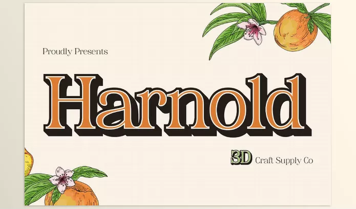 Font – Harnold 3D Font by Craft Supply Co. – Download