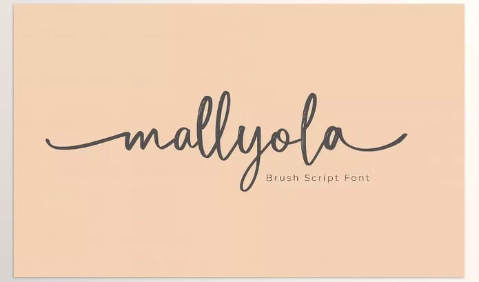 Font – Mallyola Brush Script Font by NTC Graphic – Download