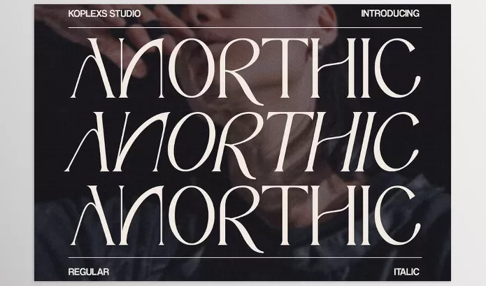 Font – Anorthic Modern Serif Font by Koplexs Studio – Download