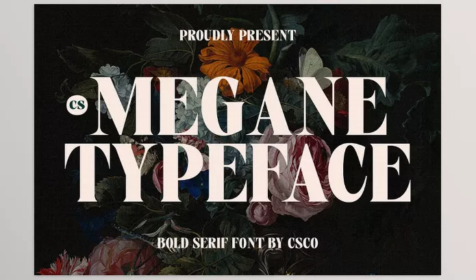 Font – CS Megane Bold Font by Craft Supply Co. – Download