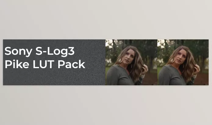 LUT Pack – Sony S Log3 Pike LUT Pack by Dslrvideoshooter – Download
