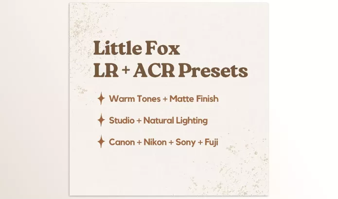 Lightroom Preset – Little Fox Lightroom Presets by Jessica G – Download