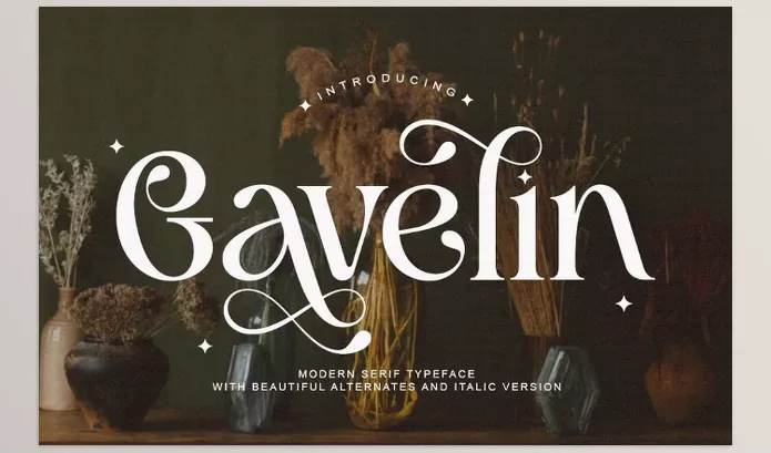 Font – Gavelin Luxury Serif Font by Say Studio – Download