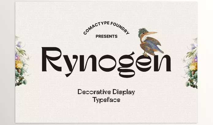 Font – Rynogen Decorative Typeface by Comactype Foundry – Download