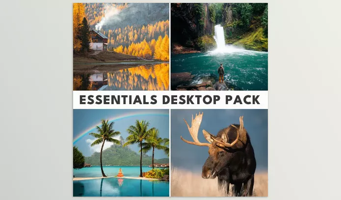Lightroom Preset – Photo Presets Essentials Desktop Pack by Renee Roaming – Download