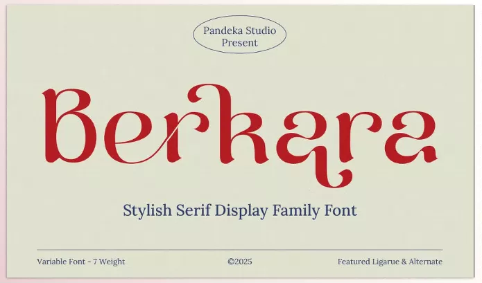 Font – Berkara Stylish Serif Display by Pandeka Studio – Download