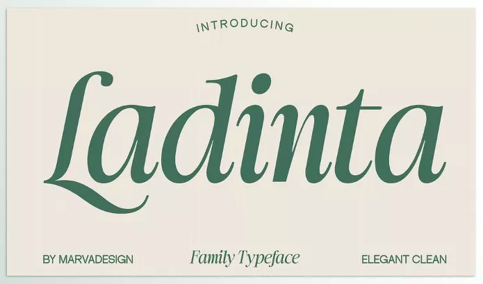 Font – Ladinta Family Serif Font by Marvadesign – Download