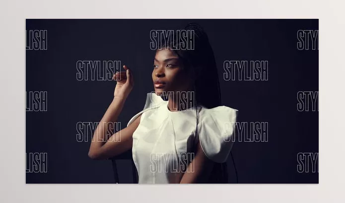 Asset – Slideshow Stylish Intro by kalimanstudio – Download 52659234