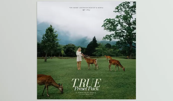 Lightroom Preset – True Preset Pack by Itijarve – Download