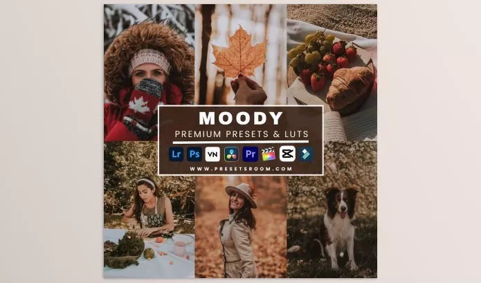 Lightroom Preset – Moody Lightroom Presets and Luts Collection by Presetsroom – Download