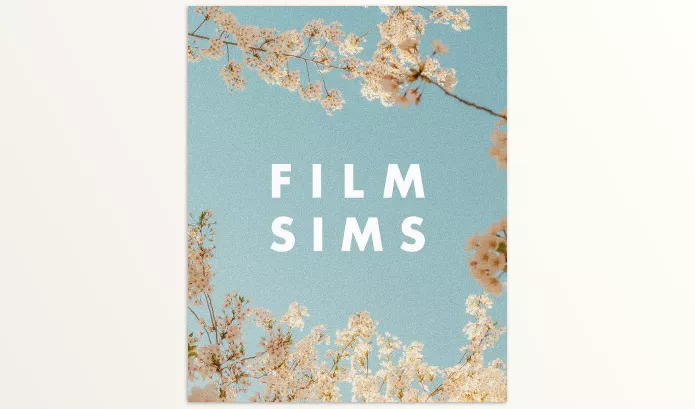 Lightroom Preset – AV FILM SIMS BUNDLE (4 PACKS) by Media – Download