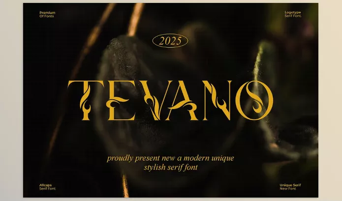 Font – Tevano Modern Unique Serif Font by Ermedia Studio – Download