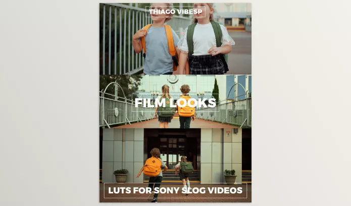 LUT Pack – Cinematic LUTs for Sony by Thiago Vibesp – Download
