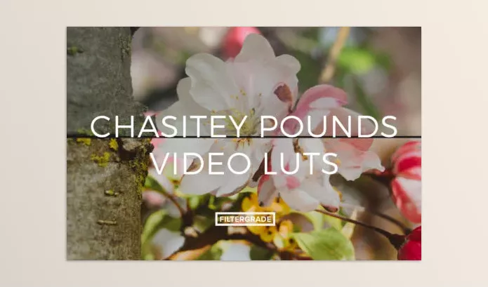 LUT Pack – Chasitey Pounds Video LUTs by Chasitey Pounds – Download