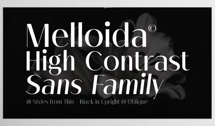 Font – Melloida Font Family by Lettertype Studio – Download
