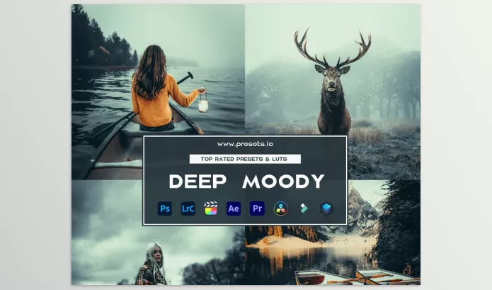 Lightroom Preset – Deep Moody Preset Collection and Luts by Presets.io – Download
