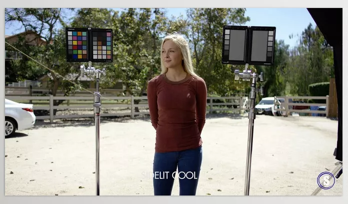 LUT Pack – LUT Essentials Pack by Filmmakers Academy – Download