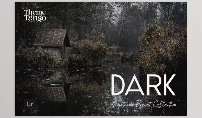 Lightroom Preset – 14 Dark and Moody Lightroom Presets by ThemeTango – Download