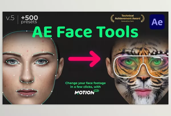 Project – AE Face Tools by videolancer – Download 24958166