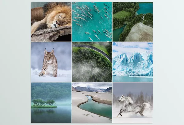 LUT Pack – Vibrant Nature LUTs for Photo and Video by Phlearn – Download