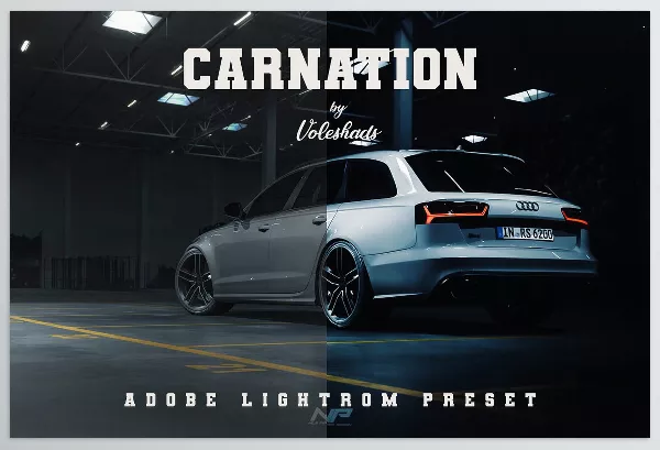 Lightroom Preset – Carnation Adobe Lightroom Preset by Voleshads – Download