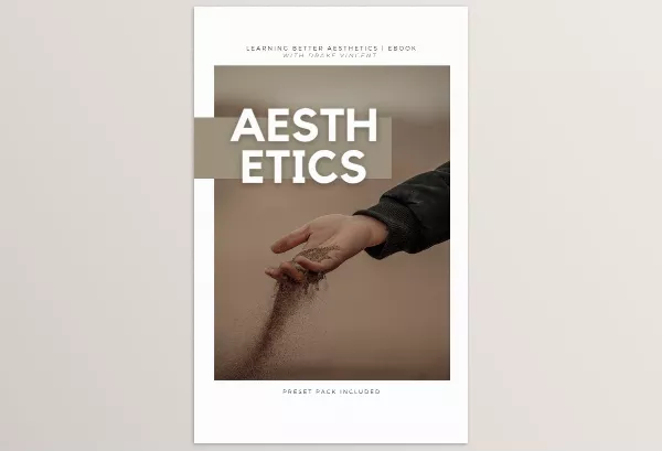 Lightroom Preset – Building A Better Aesthetic Ebook + Presets by Drake Vincent – Download