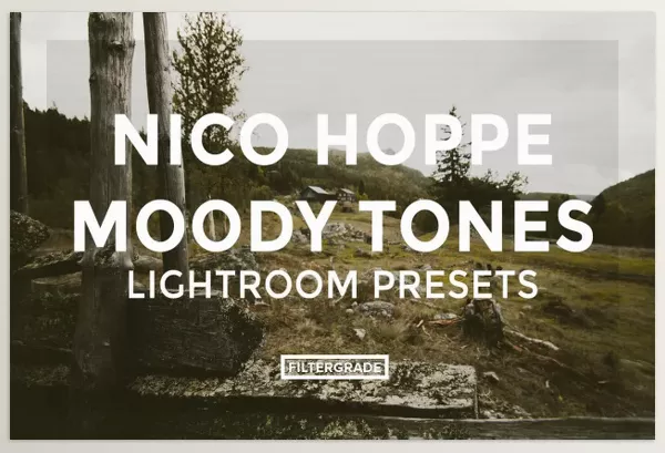 Lightroom Preset – Nico Hoppe Moody Tones Lightroom Presets by FilterGrade – Download