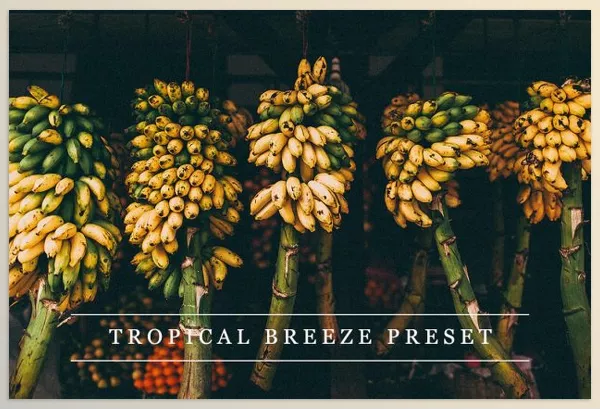 Lightroom Preset – Tropical breeze Lightroom preset by LovelyPhotoPrints – Download