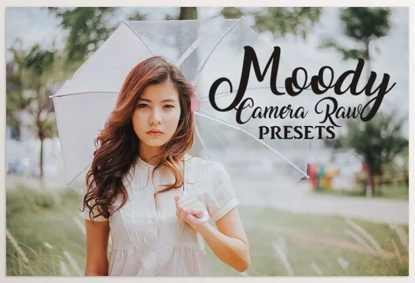 Lightroom Preset – Camera Raw Preset Collection by Bamboobear Books Shop – Download