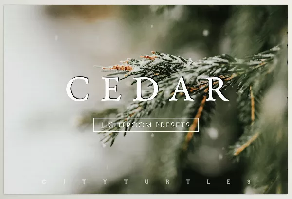 Lightroom Preset – CEDAR Subtle Moody Lightroom Presets by CityTurtles – Download