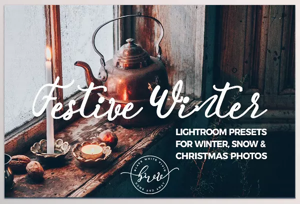 Lightroom Preset – Festive Winter Preset Bundle by in between details – Download