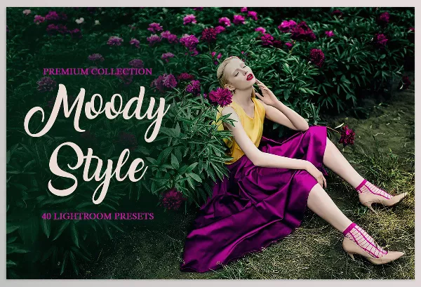 Lightroom Preset – Moody Style Presets for Lightroom by FixThePhoto – Download