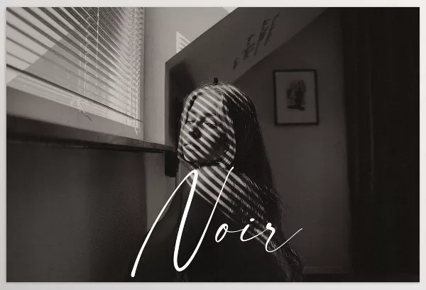 Lightroom Preset – Noir B and W Preset Pack by Kai Boettcher – Download