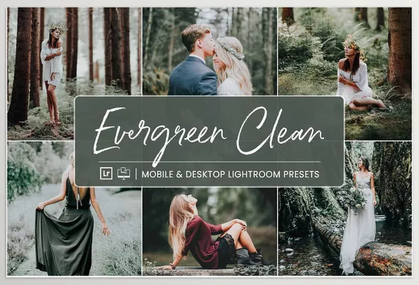 Lightroom Preset – Evergreen Clean by NesPresets – Download