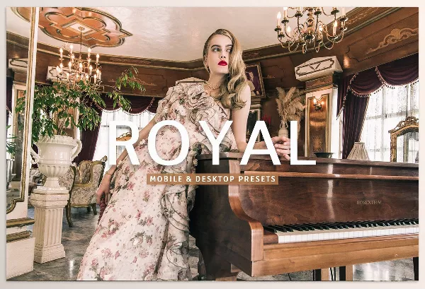 Lightroom Preset – Royal Pro Lightroom Presets by Creativetacos – Download