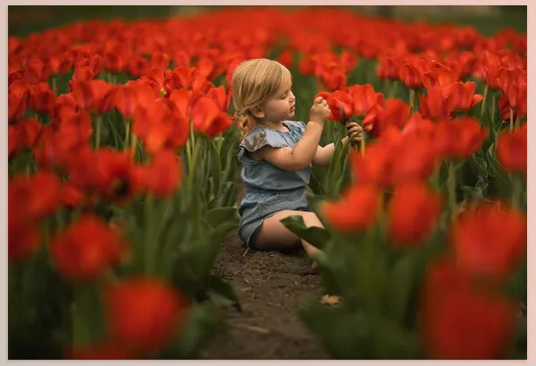 Lightroom Preset – NATURA PRESETS by Meridian Presets – Download