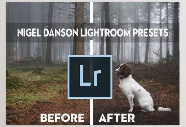 Lightroom Preset – Nigel Danson Lightroom Presets – Download