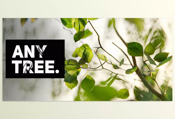 Blender Addon – Anytree – Trees With Any Shape by Bad Normals – Download