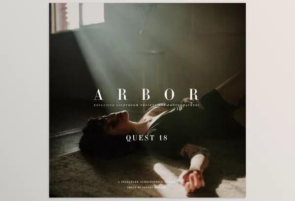 Lightroom Preset – Quest 18 Arbor by Archipelago Quest – Download