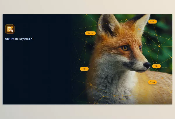 Software – Photo Keyword AI by ON1 – Download