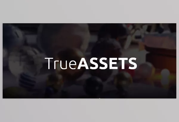 Blender Addon – True-Assets s by True-VFX – Download
