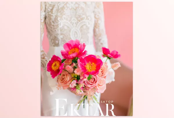 Lightroom Preset – REFINED Kodak Ektar by REFINED CO – Download