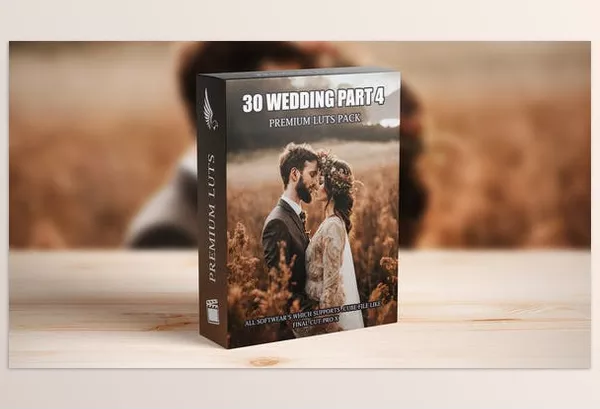 Asset – Exclusive Wedding Video LUTs by aaapresets – Download 50042172
