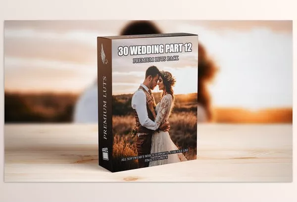 FCP Template – Professional Cinematic LUTs Collection by aaapresets – Download 50111508