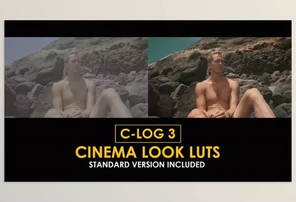 LUT Pack – C Log3 Cinema Look and Standard Color LUTs by Playground_Studio – Download 50930792
