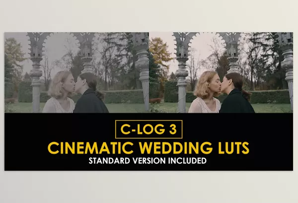 LUT Pack – C Log3 Cinematic Wedding and Standard Color LUTs by Playground_Studio – Download 50930806